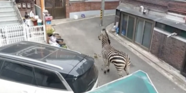 site foto ölcusu - 2023-03-24T111513.460