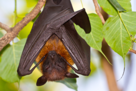 site foto ölcusu - 2023-03-25T170151.849