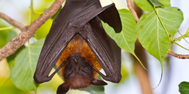 site foto ölcusu - 2023-03-25T170151.849