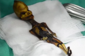 site foto ölcusu - 2023-03-28T000317.081