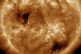 site foto ölcusu - 2023-03-29T111433.542