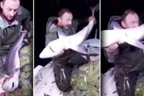 Karadenizli-balikci-yakaladigi-kopek-baligini-boyle-isirdi