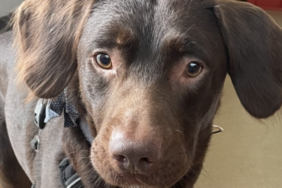 site foto ölcusu - 2023-04-09T140021.605