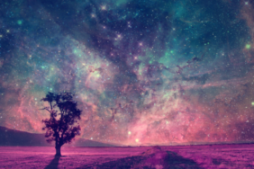 site foto ölcusu - 2023-05-12T225317.948