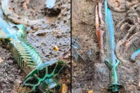 Almanya'da-3-bin-yıllık-son-derece-nadir-bir-kılıç-keşfedildi