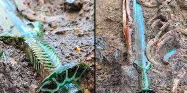 Almanya'da-3-bin-yıllık-son-derece-nadir-bir-kılıç-keşfedildi