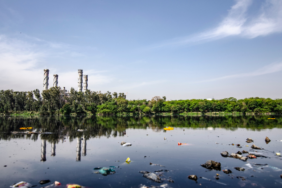site foto ölcusu - 2023-06-18T133106.009