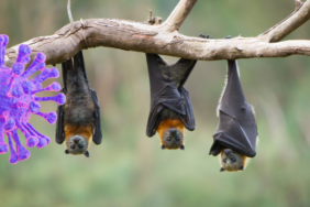 site foto ölcusu - 2023-06-23T135723.153