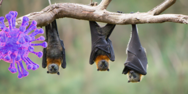 site foto ölcusu - 2023-06-23T135723.153