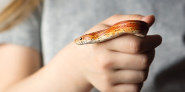 site foto ölcusu (11)