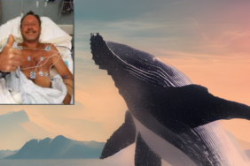 site foto ölcusu (19)