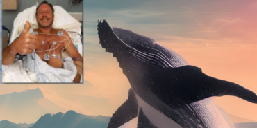 site foto ölcusu (19)