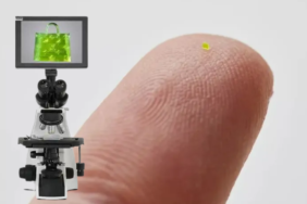 site foto ölcusu - 2023-07-01T003141.392