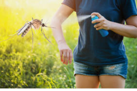 site foto ölcusu - 2023-07-01T111710.413