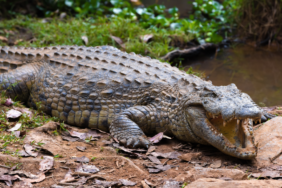 site foto ölcusu - 2023-07-05T180235.940