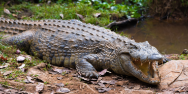 site foto ölcusu - 2023-07-05T180235.940