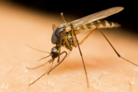 site foto ölcusu - 2023-07-05T211751.680