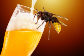 site foto ölcusu - 2023-07-06T104431.148