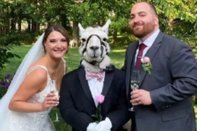 site foto ölcusu - 2023-07-08T174451.276