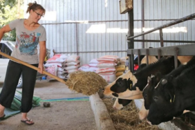 site foto ölcusu - 2023-07-12T115457.723