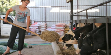 site foto ölcusu - 2023-07-12T115457.723