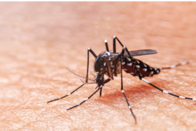 site foto ölcusu - 2023-07-21T224650.439