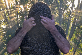 site foto ölcusu - 2023-07-21T233541.706