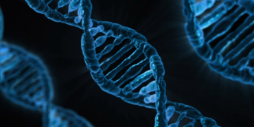 site foto ölcusu - 2023-07-24T151031.809