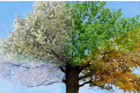 site foto ölcusu - 2023-07-29T005939.719