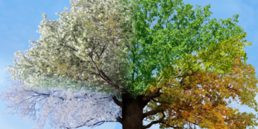 site foto ölcusu - 2023-07-29T005939.719