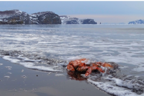 site foto ölcusu (56)