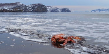 site foto ölcusu (56)