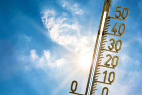 site foto ölcusu (64)