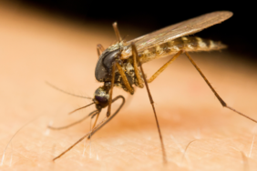 site foto ölcusu (65)