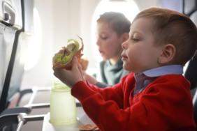 site foto ölcusu (86)