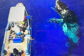 site foto ölcusu (96)