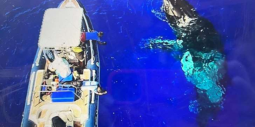 site foto ölcusu (96)