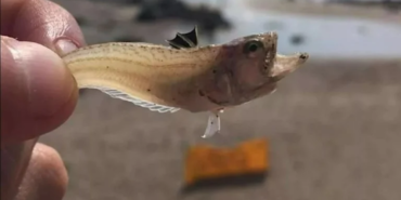 site foto ölcusu - 2023-08-04T092226.875