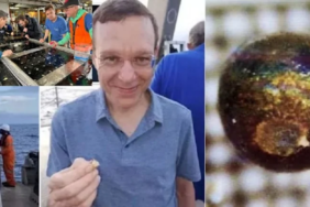 site foto ölcusu - 2023-08-04T092604.933