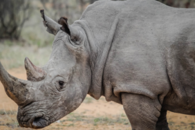 site foto ölcusu - 2023-09-12T182538.067