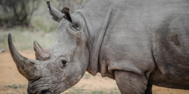 site foto ölcusu - 2023-09-12T182538.067