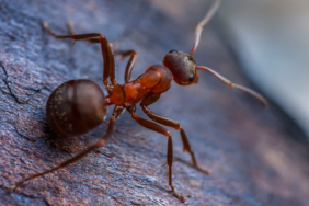 site foto ölcusu - 2023-09-13T190040.026