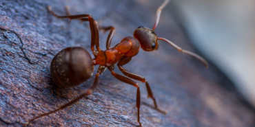 site foto ölcusu - 2023-09-13T190040.026