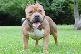 site foto ölcusu - 2023-09-15T200044.048