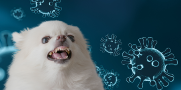 site foto ölcusu - 2023-09-19T225917.518