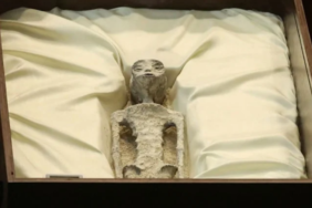 site foto ölcusu - 2023-09-19T234524.161