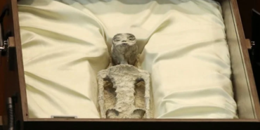 site foto ölcusu - 2023-09-19T234524.161