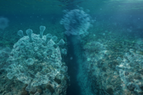 site foto ölcusu - 2023-09-21T103443.609