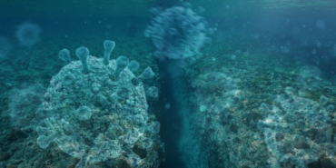 site foto ölcusu - 2023-09-21T103443.609