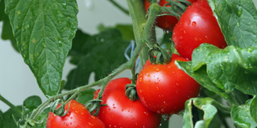 site foto ölcusu - 2023-09-21T210416.360